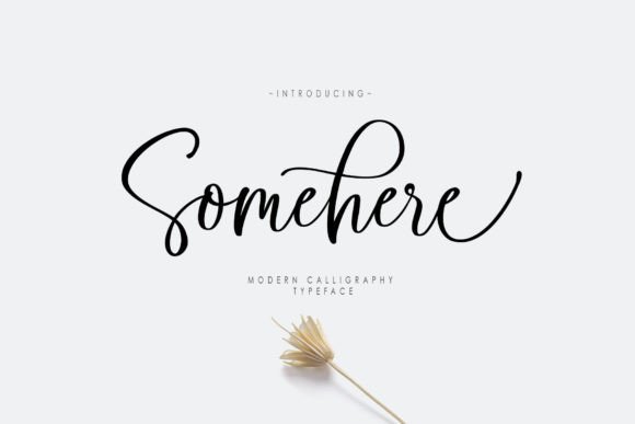 Somehere: A Modern Script Typeface Built for Digital Branding