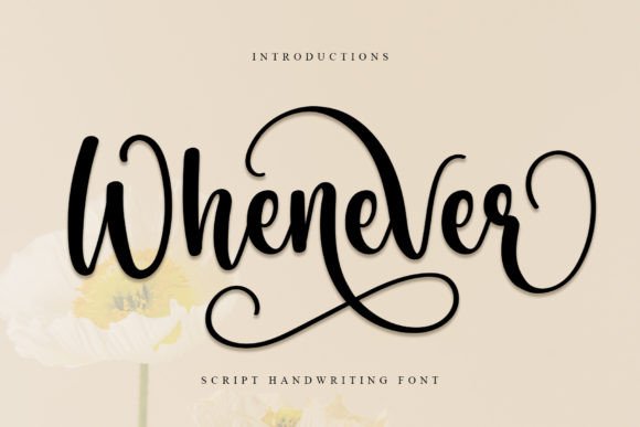 The Whenever Font in Modern Web Design: A Real Layout Test